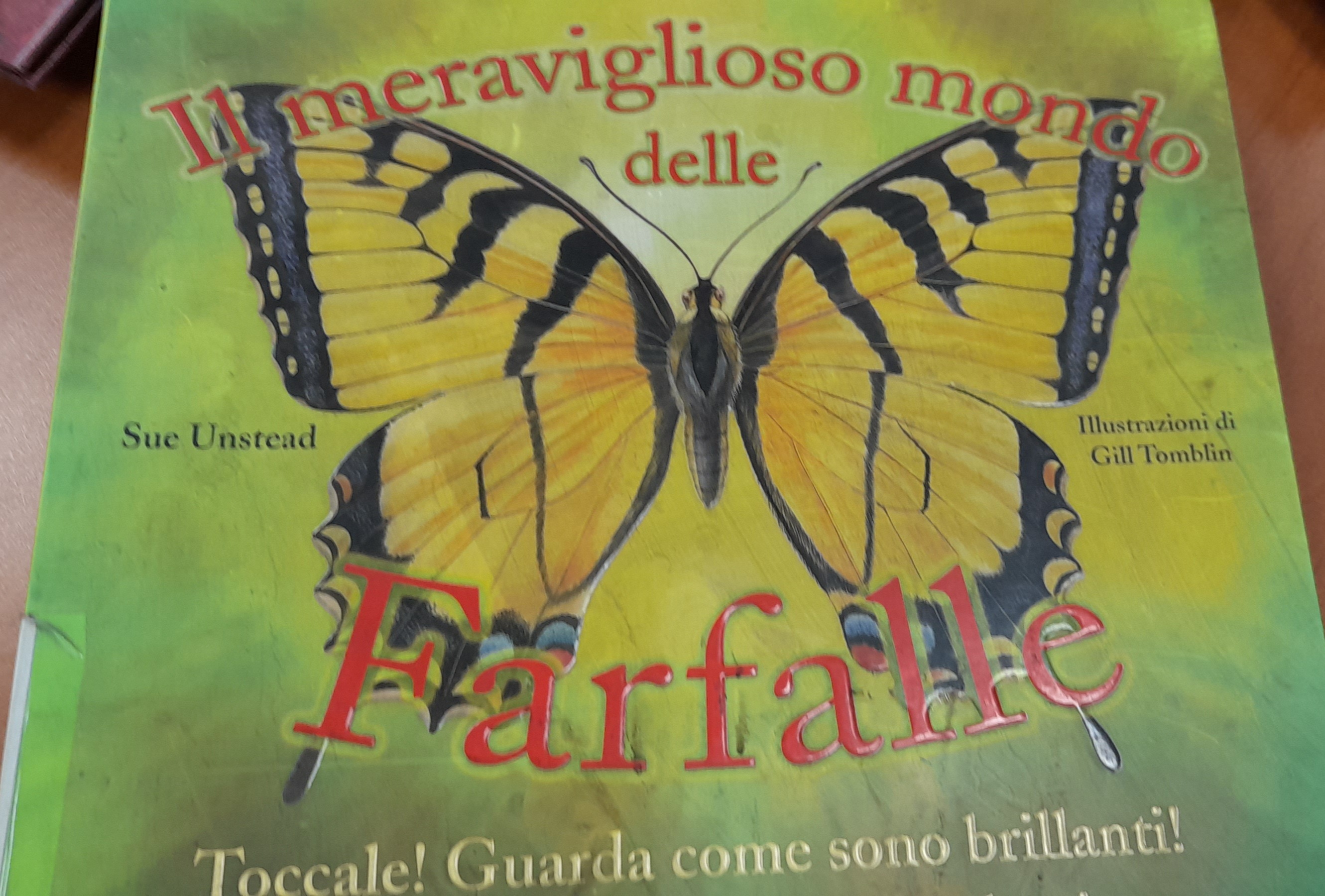 Il meraviglioso mondo delle farfalle