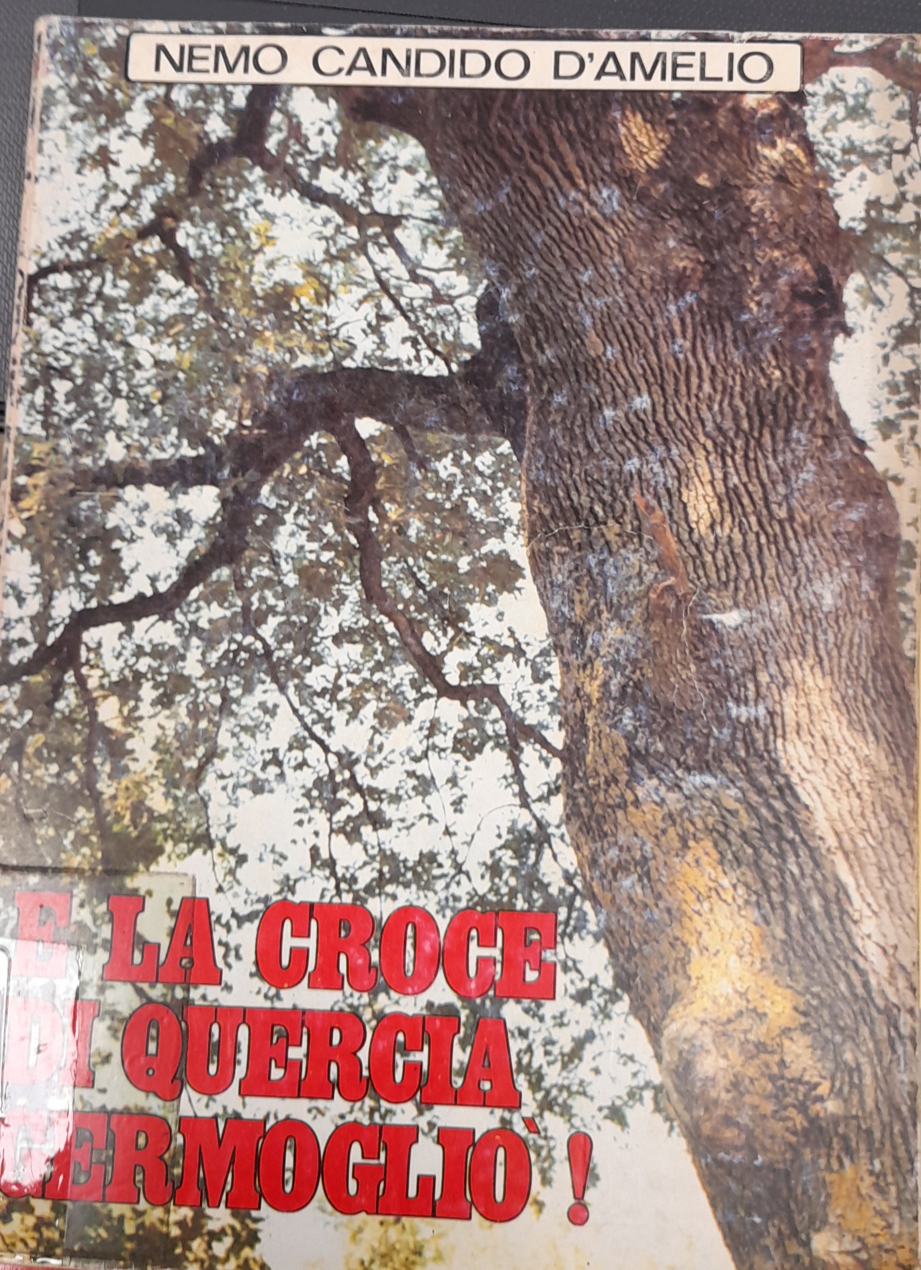 E la croce di quercia germogliò