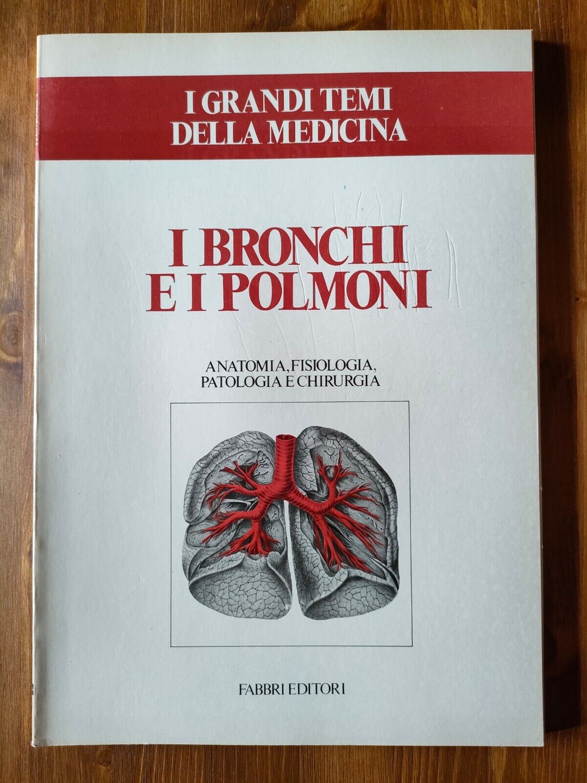 I BRONCHI E I POLMONI