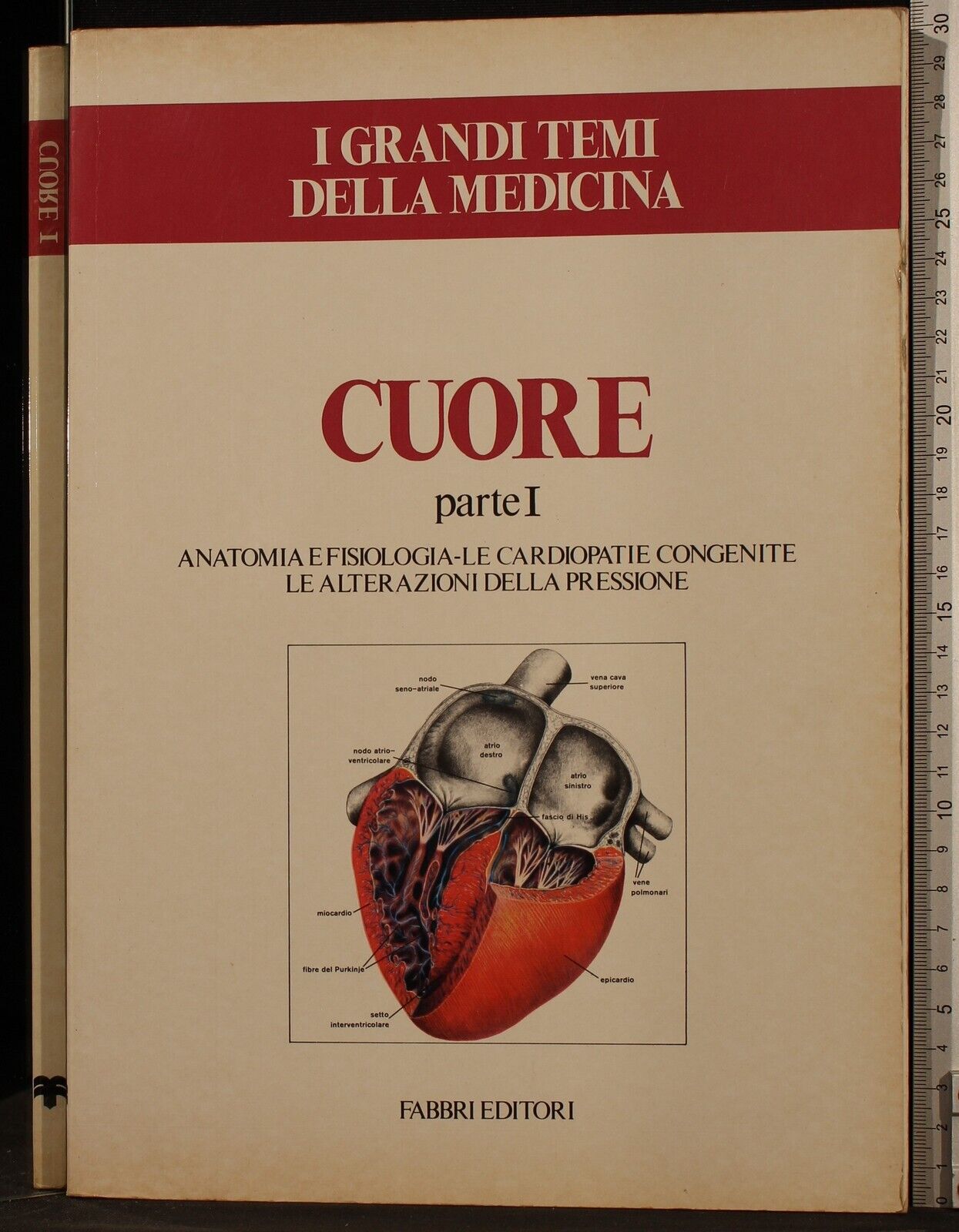 CUORE(parte I)