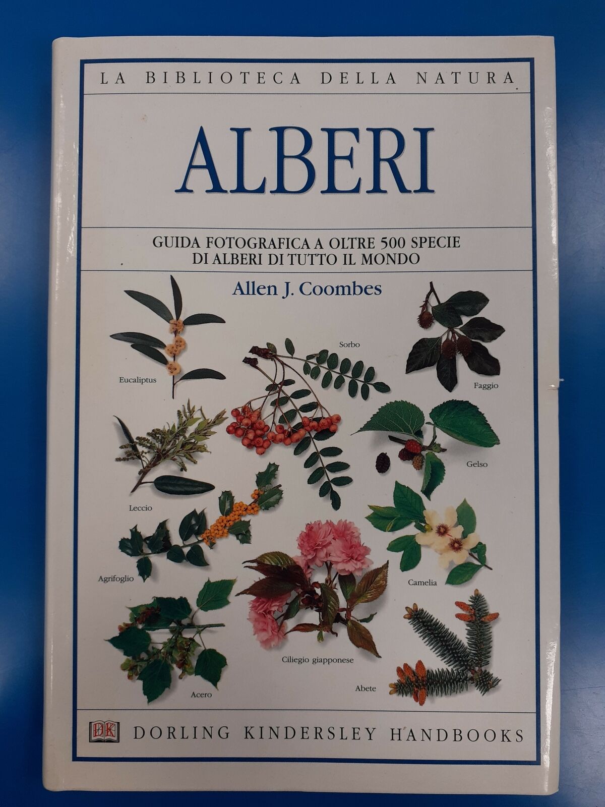 ALBERI