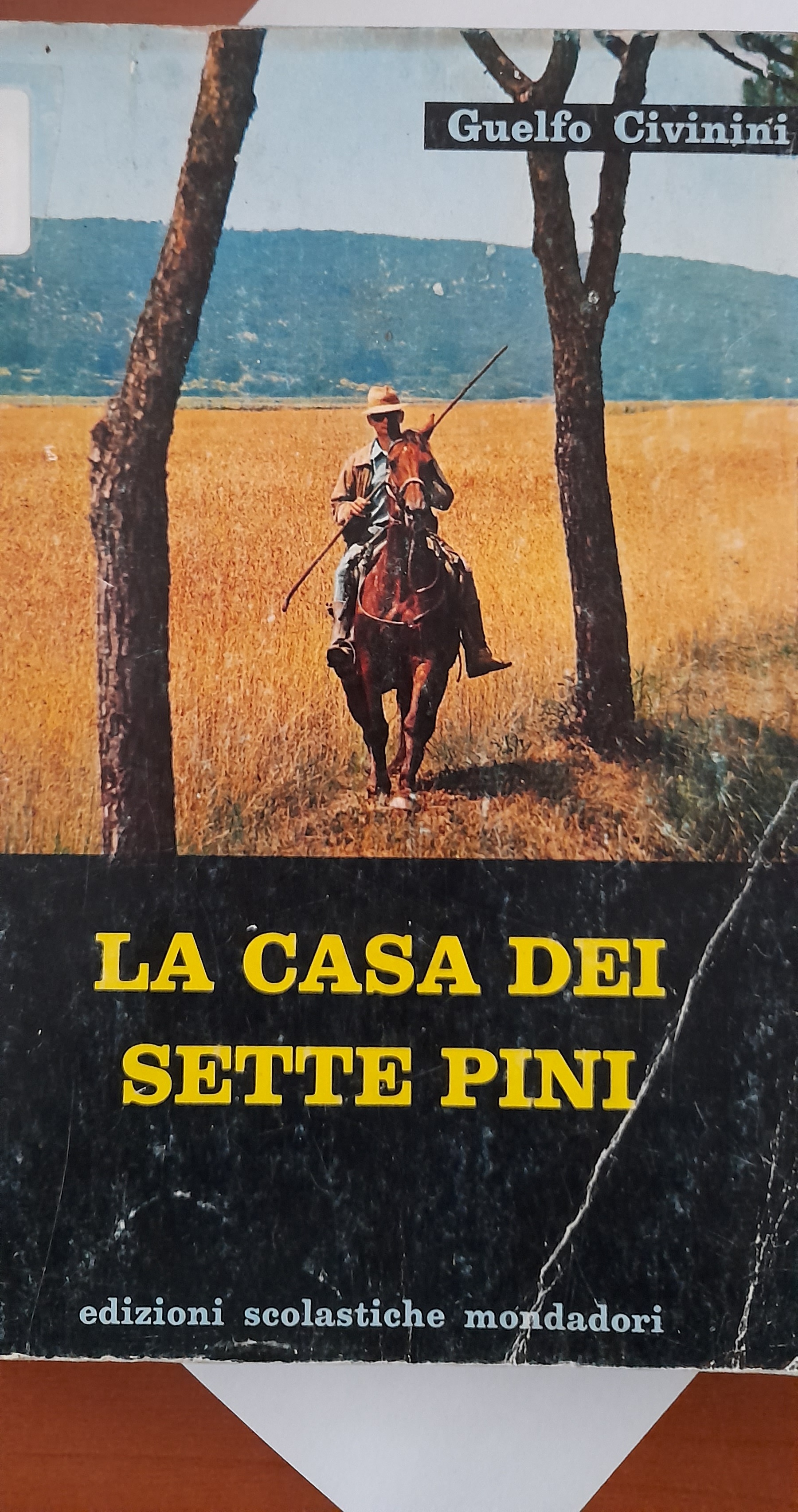 La casa deisette pini