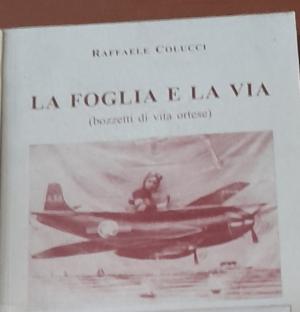 La foglia e la via