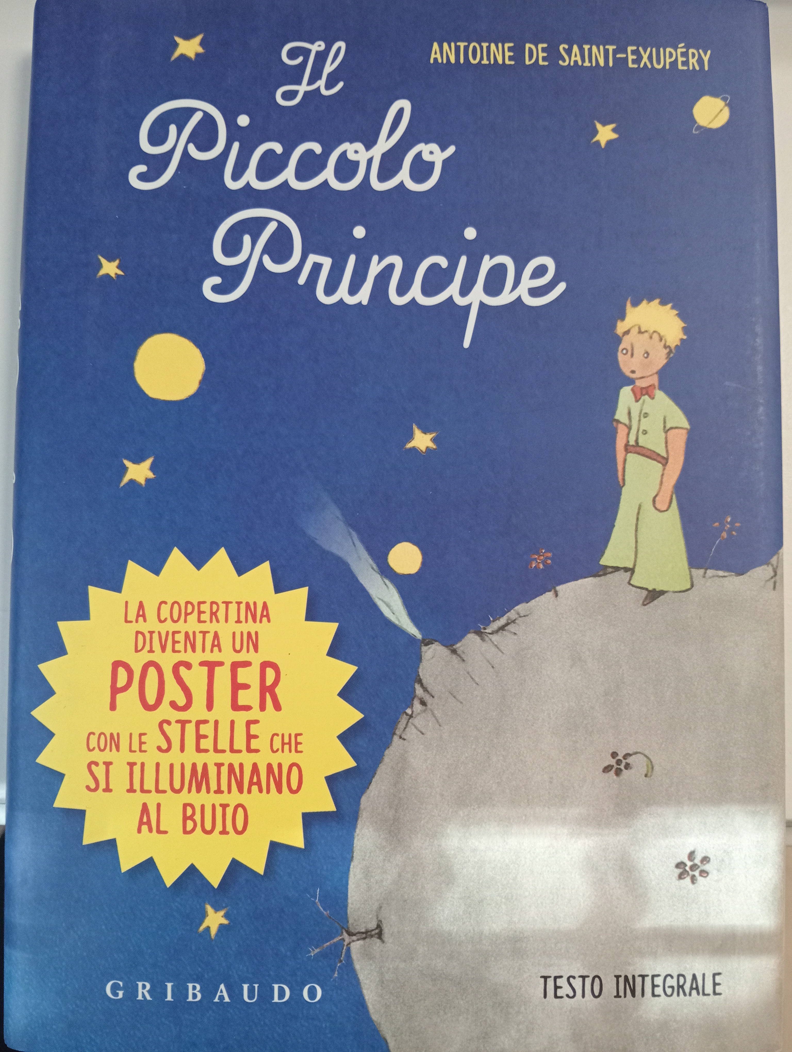 IL PICCOLO PRINCIPE