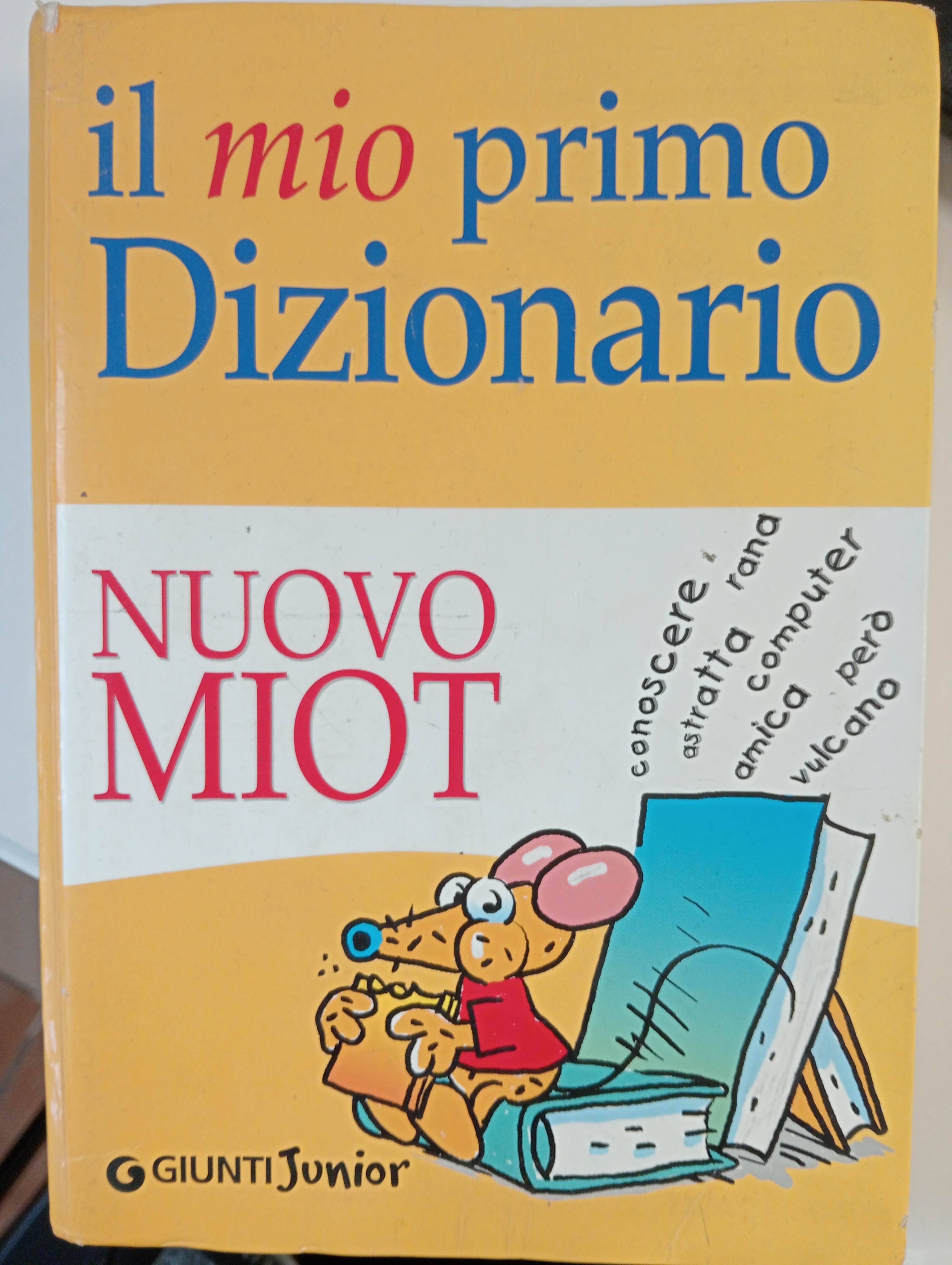 IL MIO PRIMO DIZIONARIO