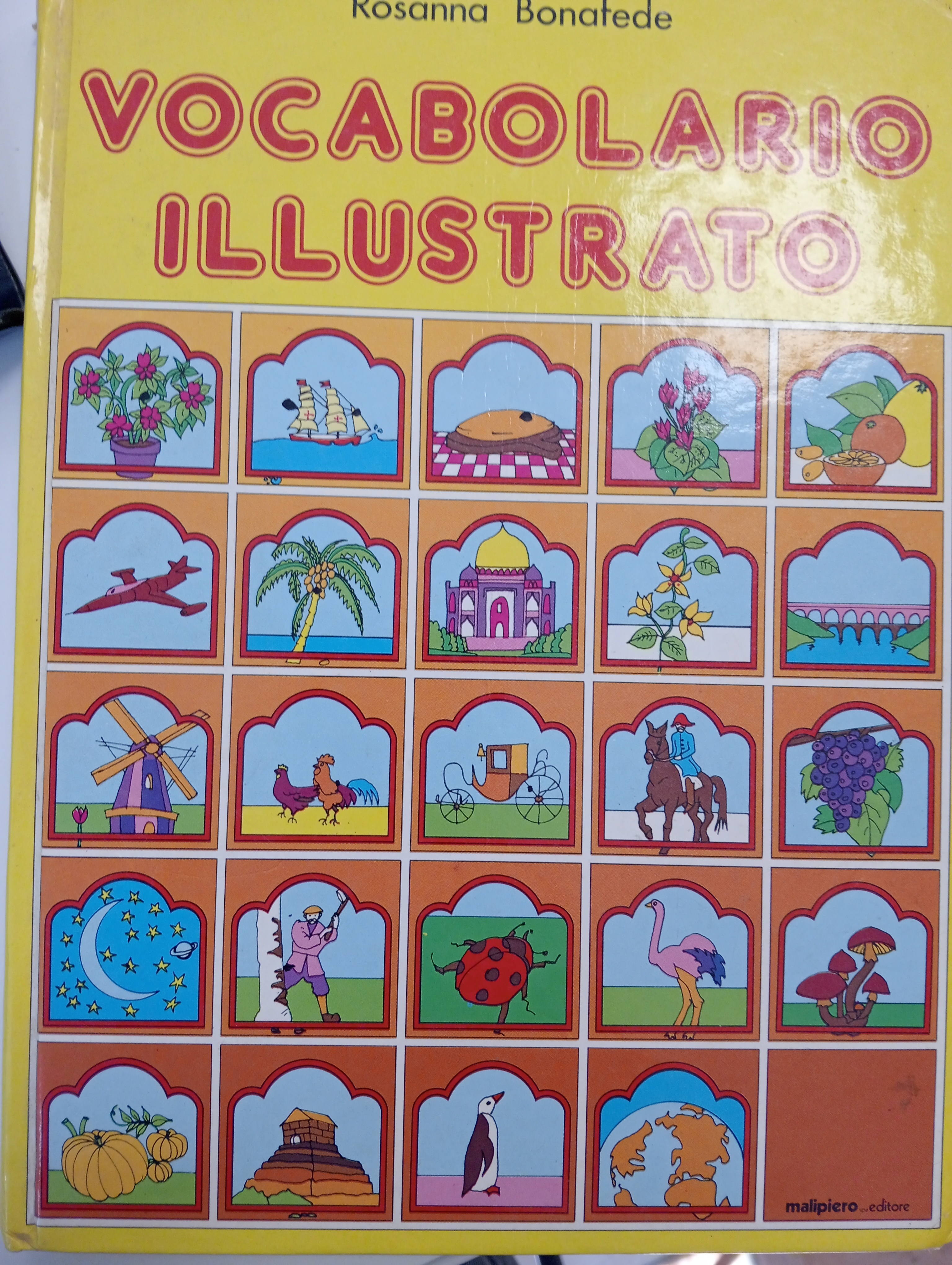 VOCABOLARIO ILLUSTRATO